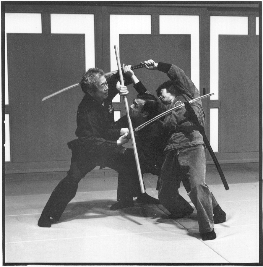 Hatsumi sword training